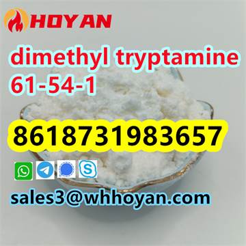 CAS 61–54–1 dimethyl tryptamine powder supplier